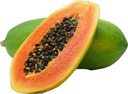 Papaya